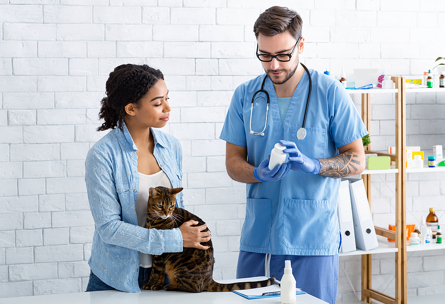 Why it is important to keep your pets medicated